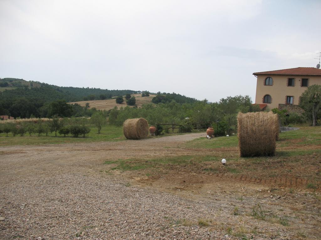 La Steccaia Alta * Civitella Paganico