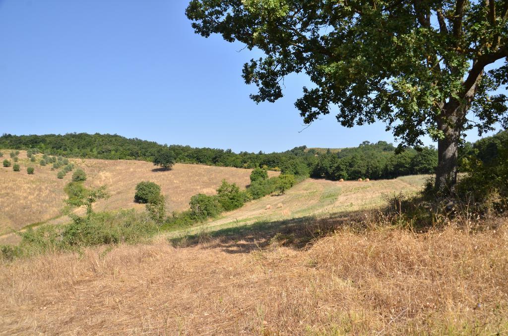 La Steccaia Alta Bauernhof Civitella Paganico
