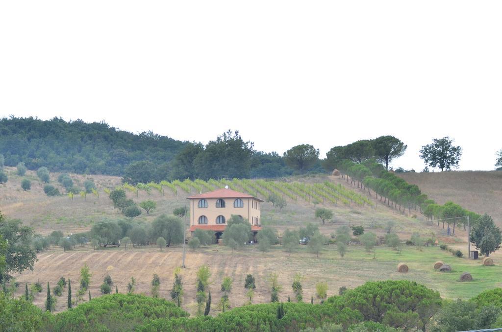 La Steccaia Alta